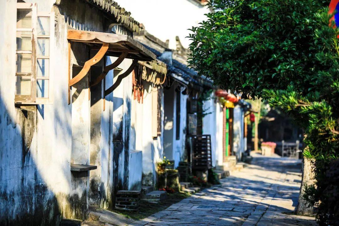柔肩担重任 打通服务群众“最后一公里”